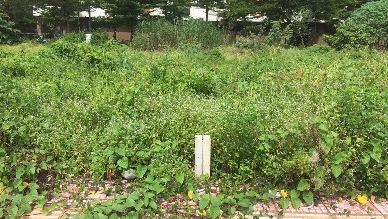 Mốc ranh của các miếng đất hiện nay